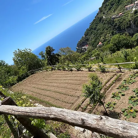 Agriturismo Orrido di Pino-3